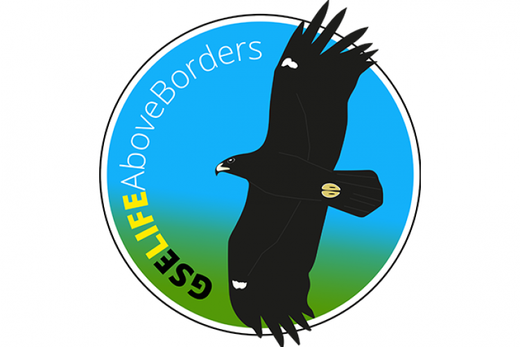logo projektu LIFE GSELIFEAboveBorders 